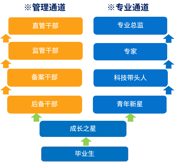 陜西汽車控股集團(tuán)有限公司